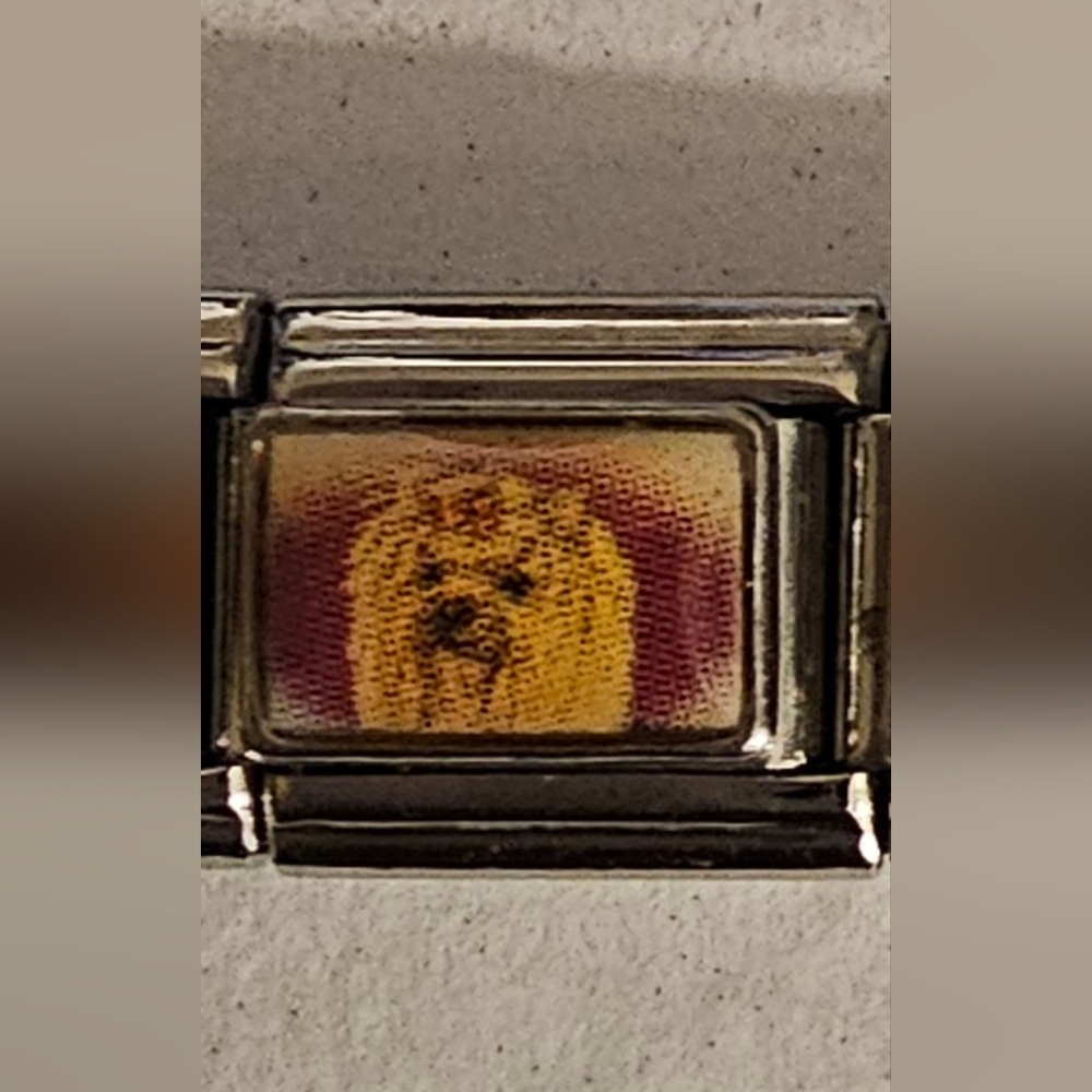 Choose From 5 Dog Italian Charms